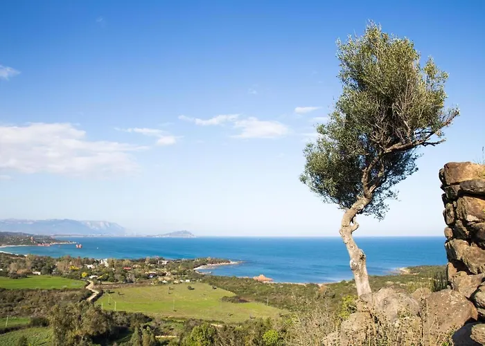 Siesta 公寓 卡尔德都