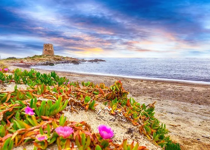 Siesta * 卡尔德都